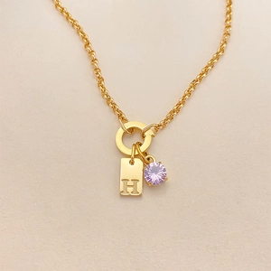 Detail of gold titanium steel necklace with H-letter tag and purple crystal pendant.