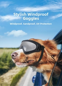 Perro marrón usando gafas protectoras negras junto a la ventana de un coche