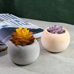 Plantes succulentes modernes dans des pots ronds en béton sur un décor de bureau minimaliste