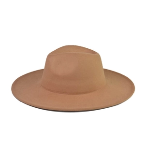 Detail of classic camel wool felt hat showing thick wide brim and elegant metal chain trim