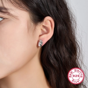 S925 Sterling Silver crown stud earrings with sparkling white cubic zirconia for women