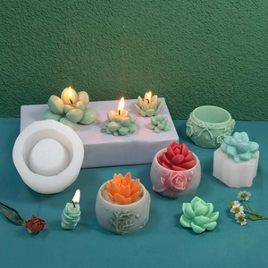 Kit de moule en silicone pour bougies succulentes avec divers modèles de plantes