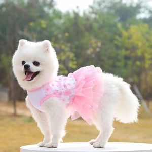 Macro detail of pink cherry blossom pet dress with lace ruffles on a small dog