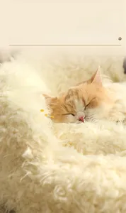 Detail of a fluffy cream plush cat bed with a sleeping kitten in a cozy warm atmosphere