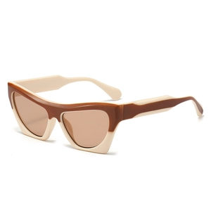 Retro Cat Eye Sunglasses UV400 Protection PC Frame Gradient Lenses Fashion Streetwear For Women Men