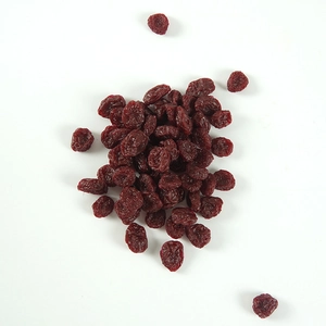 Realistic artificial dried cranberry fruit models for home kitchen decor and play food