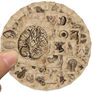 Detailed retro anatomy stickers set with vintage brain and skull designs for luggage