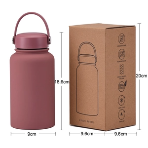 650ml pink stainless steel vacuum insulated sports bottle with handle and box