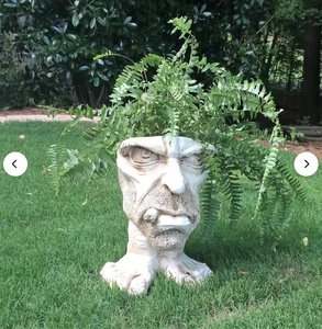 Detail of funny Muggly's face statue planter with green fern in a garden setting