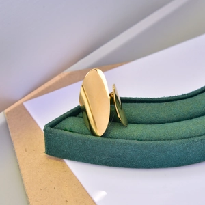 Detailed macro view of 18K gold plated minimalist double oval overlapping rings