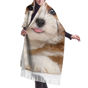 Winter pashmina shawl with realistic terrier dog pattern and fringed edges for women