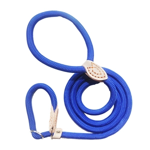 Detail of durable blue nylon dog slip lead with reinforced white leather and metal rings