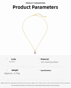 Detail of S925 sterling silver necklace with oval gem pendant and technical parameters