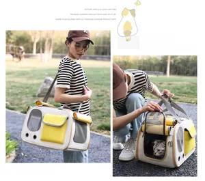 Detail of breathable pet carrier featuring mesh windows and side ventilation holes