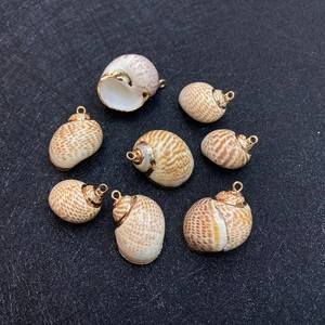 Detailed view of eight natural seashell pendants with golden electroplated metal edges