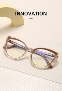 Detail view of cat eye glasses frames with transparent finish and metal core temples