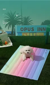 Detalle de la alfombra refrescante arcoíris para perros y gatos sobre el césped