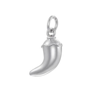 Detailed close-up of a creative silver chili pepper pendant with high-gloss metallic finish