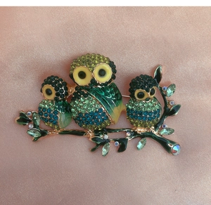 Macro shot of colorful crystal owl brooch with emerald rhinestones on silk fabric