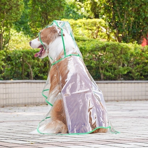 Side view of a large dog wearing a transparent hooded raincoat with green edge trim