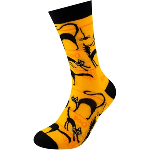 Detail of orange Halloween socks featuring black cat, spider webs and BOO text