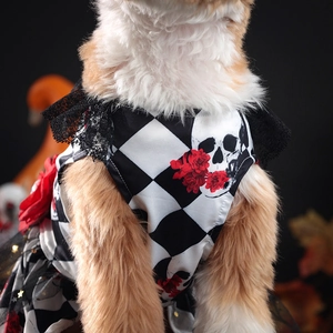 Detail of pumpkin pet dress with checkered pattern, skull prints, and black lace accents