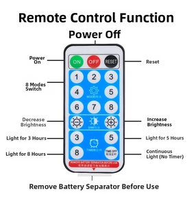 21-key remote control for LED star lights showing modes, timer, and brightness settings