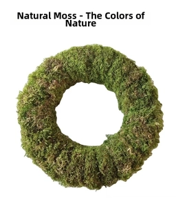 Detailed view of the natural green moss wreath with soft botanical textures and organic layers