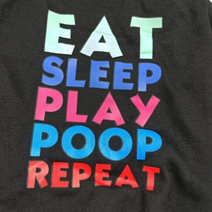 Detailed macro view of colorful EAT SLEEP PLAY lettering on black cotton pet t-shirt
