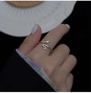 Nahaufnahme eines minimalistischen Schlangenrings aus Silber mit glatter Oberfläche