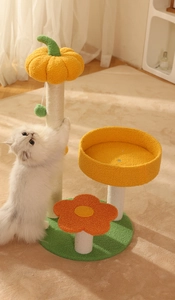 Detail eines kürbisförmigen Katzenbetts aus Plüsch und Kratzbaums in bunten Farben
