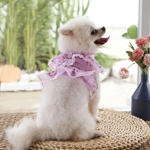 Detail of pink floral pet harness with white lace trim and metal D-ring on white dog