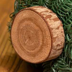 Mini Nordic Christmas tree with natural wood base featuring bark and tree ring texture