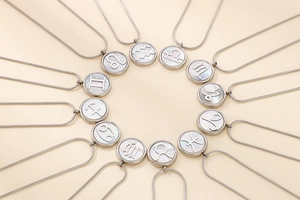 Collection of 12 zodiac shell necklaces with stainless steel frames in a circular layout