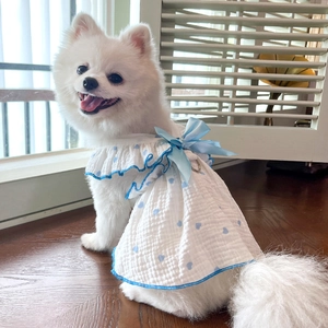 Blue heart pattern pet summer dress with bow and lace detail on a Pomeranian
