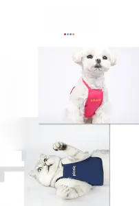 Close-up of pink and navy blue pet belly protectors on a small dog and cat