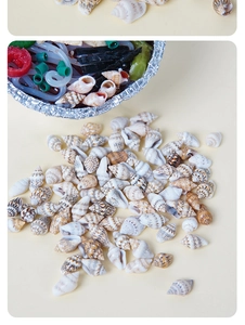 Nahaufnahme von Mini-Naturmuscheln für DIY, Aquarium-Dekor und Mikro-Landschaftsbau