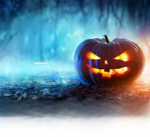 Glowing carved Halloween pumpkin lantern in a dark mysterious forest setting
