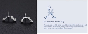 Detailed view of silver Pisces constellation stud earrings with zircon stone accents