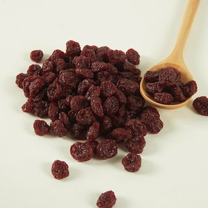 Realistic artificial dried cranberry models with a wooden spoon for food display