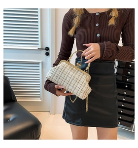 Detail of tweed shell bag with gold metal frame and chain strap shown by a model