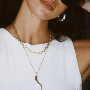 Italian horn necklace set in gold titanium steel with thick chain and curved pendant