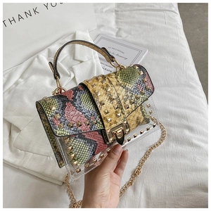 Detail of transparent jelly bag with snakeskin pattern, gold studs, and metal chain strap