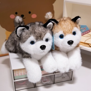 Realistic husky plush toys in grey and brown colors with soft long fur and blue eyes