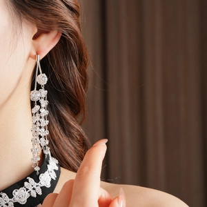 Close-up of silver tassel earrings with crystal beads on a model for elegant styling