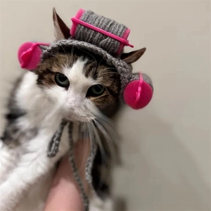 Close-up of grey knit pet hat featuring pink curlers for funny cat and dog costume