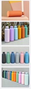 Minimalist double-wall vacuum insulated water bottles in diverse matte colors set on ledges