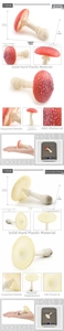 Detailed view of realistic ABS mushroom models with size reference and texture details