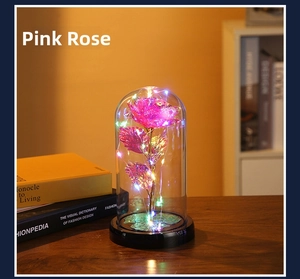Detail of peach red gold foil rose in glass dome with colorful LED fairy lights