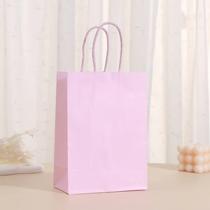 Pink paper gift bag with matching rope handles for shopping and premium gift packaging